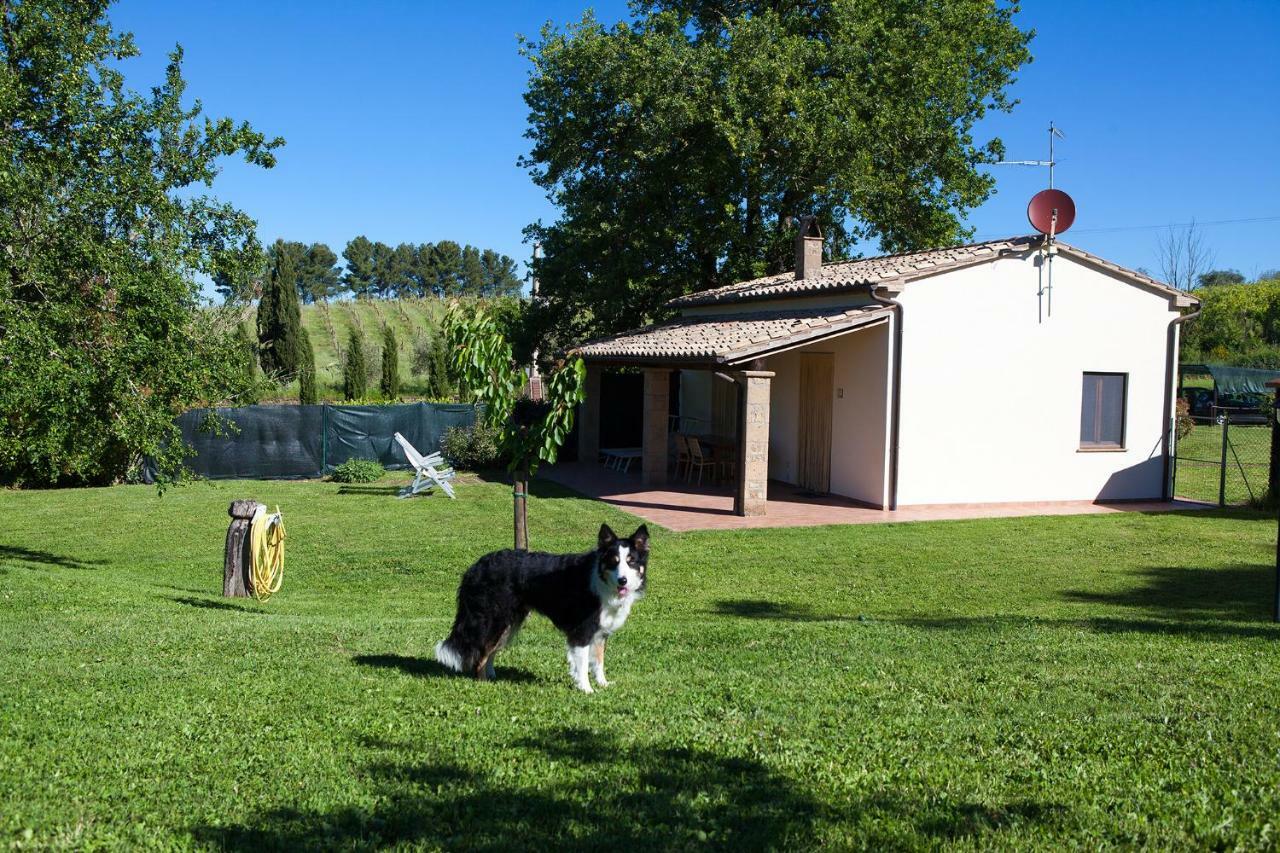 Casa Marta Villa Pitigliano Room photo